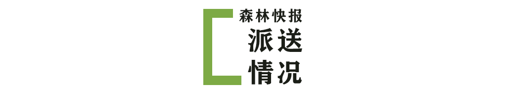 最新資訊