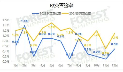 大森林2024年度報告