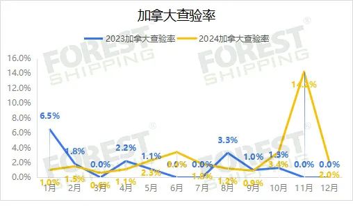 大森林2024年度報告